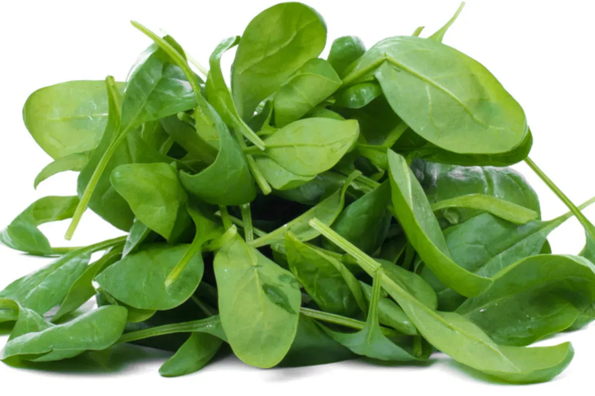 Fit mit Spinat! – Mit leichtem Gemüse starke Effekte erzielen